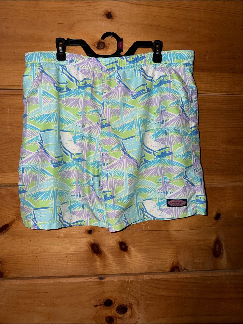 Mens Tropical Print Swim Trunks in Pastel Blue & Green